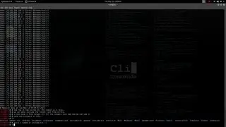 Kali linux - Information Gathering - Network & Port Scanners - Masscan