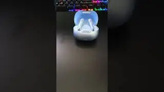 Connect Liberty 4 NC to Laptop with Gigi 