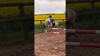 Riding my mini Shetland stallion 
