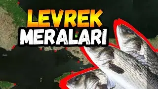 Levrek Meraları   | Olta Mühendisi balıkçılık