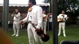 El bandolero - Mariachi Internacional 