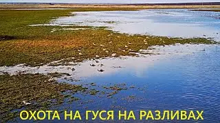 GOOSE HUNTING OPENING!!! THIS IS NOT THE WAY TO HUNTING / MAX HUNTER