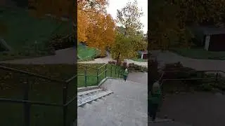 дорога до школи