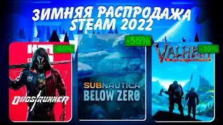 ЧТО КУПИТЬ НА ЗИМНЕЙ РАСПРОДАЖЕ СТИМ 
