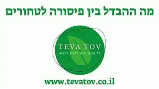 מה ההבדל בין פיסורה לטחורים