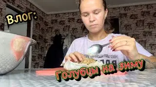 заготовки на зиму /виталик и ангелина /вареники с творогом /урожай