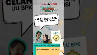 Celah Regulasi, UU BPK Perlu Revisi