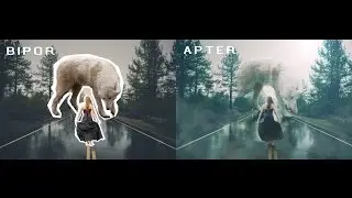 Manipulation Tutorial Big Wolf 2 