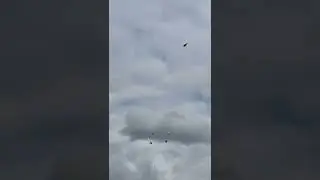 бомба?! Ленаканец