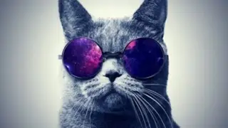 Стрим по Сампу
