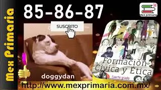 Formacion Civica 4 pag, 85, 86, 87, Tranformar, positivamente, conflicto, saber, manejarlo, resolver