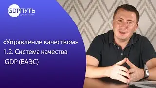 Управление качеством. Система качества GDP ЕАЭС