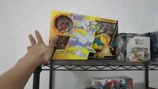 Half year inventory update and TCG market update.