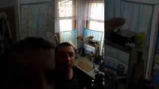12 октября 2020 г.