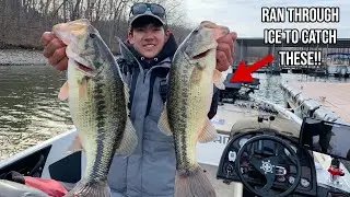 These 2 Baits Dominate Winter Tournament Fishing!