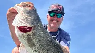 Trigger bigger bass!