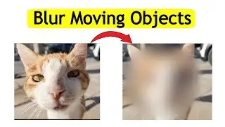 Final Cut Pro Blur Moving Object