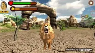 Lion Vs Tiger Android Gameplay