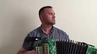 Гармонь мастера Сапожникова «Наигрыши»