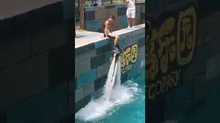 DEIXA O CURTI