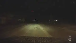 Чуть не сбитый пейзанин - 1
