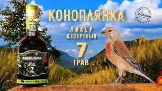 Ликёр десертный (?) «Коноплянка 7 трав»
