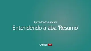 Entendendo a aba 'Resumo'