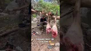 This Is How We Cook Our Meat In the Wild #survival #bushcraft  #bushcraftshelter