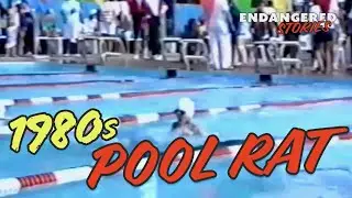 BEING AN 1980s POOL RAT in MONTREAL