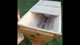 Kenyan hive.
