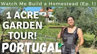 I Retired Early & Bought Land In Portugal - Now Watch Me Build a Homestead
