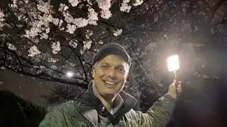 Tokyo Midnight Cherry Blossom Safari