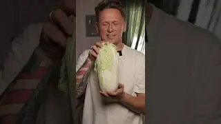 ОЧЕНЬ СВЕЖИЙ САЛАТ🤪 #shorts #юмор