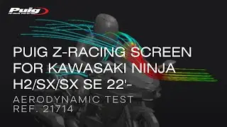 REF. 21714 - Z-RACING SCREEN FOR KAWASAKI NINJA H2/SX/SX SE '22-