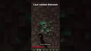 I just wanted diamonds #minecraft #memes