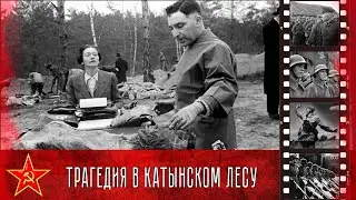 Трагедия в Катынском лесу: кто же расстрелял поляков? Процесс расследования Катынского расстрела.