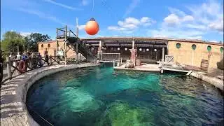 THE SEALIONS AT FLAMINGO LAND