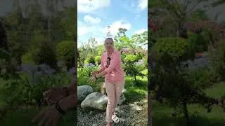 Чистка от неуверенности в себе #чистки #энергетическиепрактики #асмрвидео #асмр