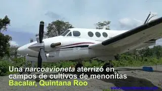 Narcoavioneta frena a menonitas de Bacalar