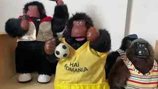 Magogo Soccer Sports Gorilla - Demo