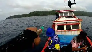 Umpan sabiki dan udang terbukti ampuh‼️mancing dasaran