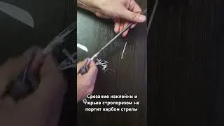 Sog в деле