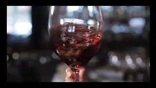 Wine and cheese that won't leave you broke
