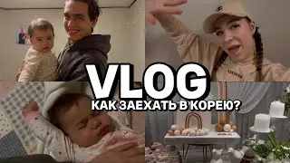 КАК ЗАЕХАТЬ В КОРЕЮ? / К нам приехал друг / Интервью в эмигрешки / Период цветения сакуры в Корее