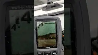 Бели много, судака не уговорил. Garmin echo 151DV