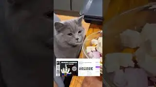 лук и коты😂 #cat #funny #automobile