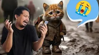 AI Cat Stories / Sad Meow Meow Song Meme Compilation (2024)