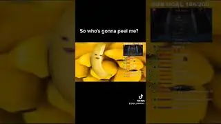 Banana Vibes only 