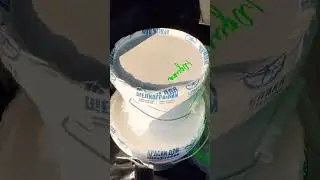 Яндекс экспресс краска