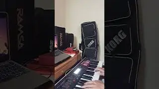 Bette Davis Eyes cover Korg Kross2